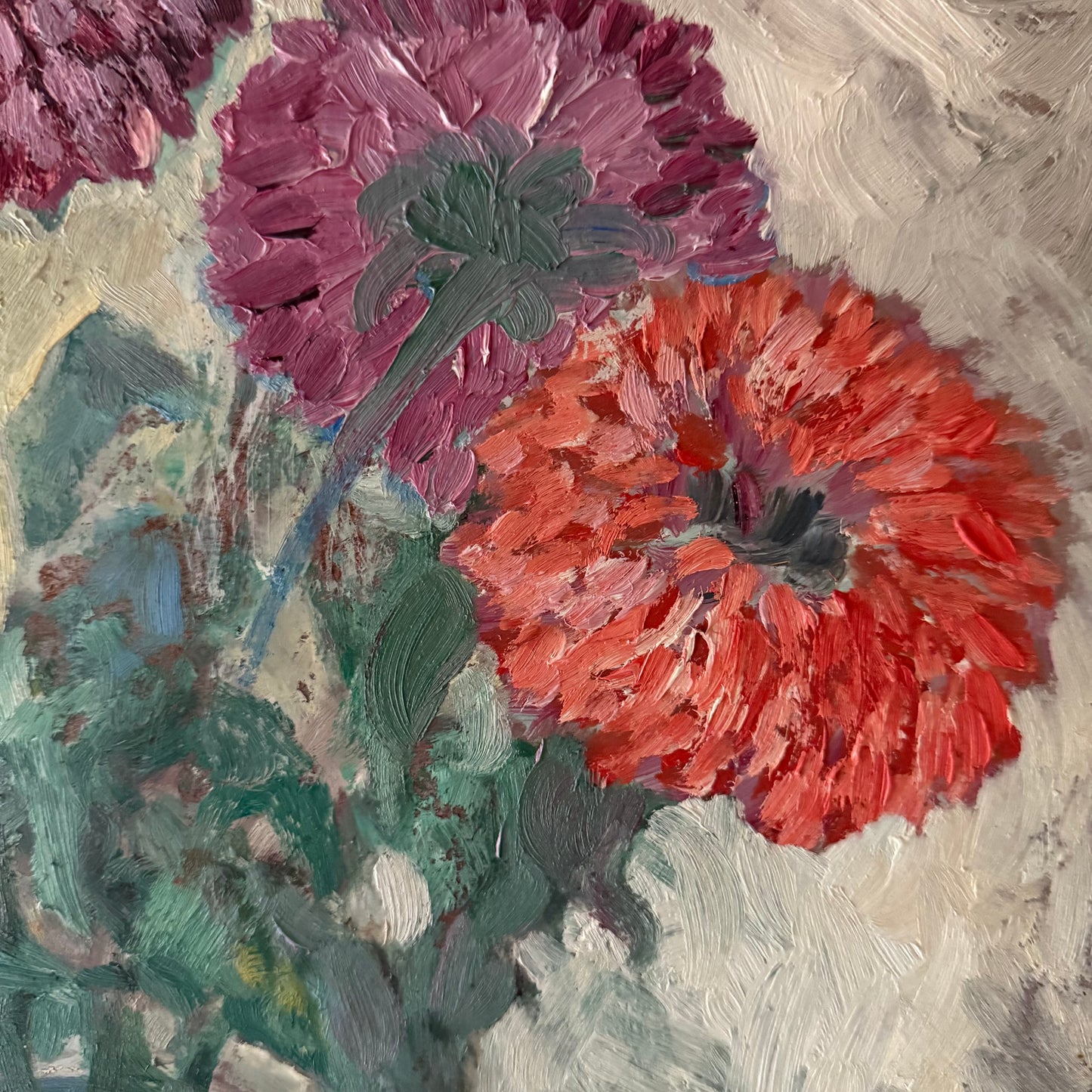 Chrysanthemum