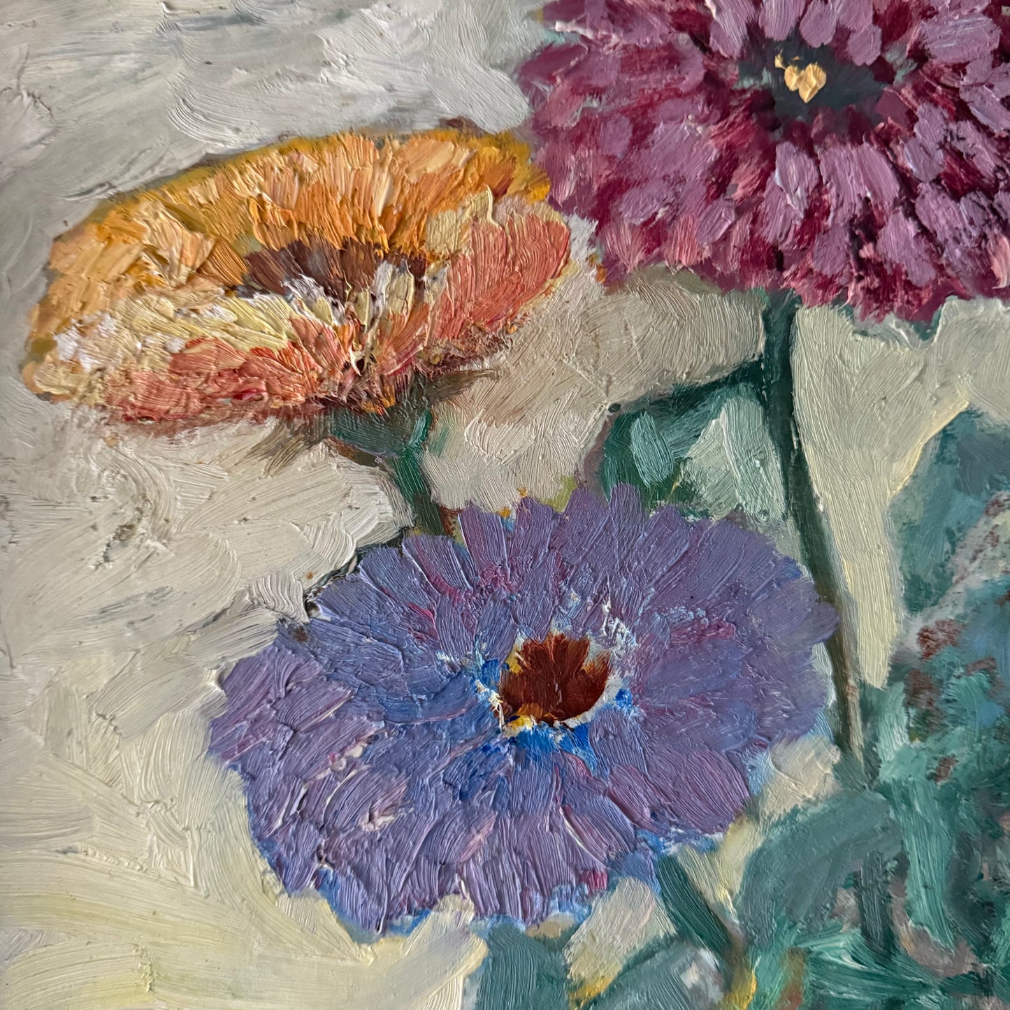 Chrysanthemum