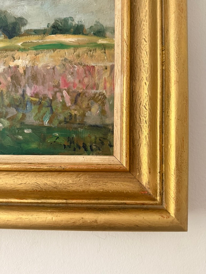 Wildflowers in the Meadow