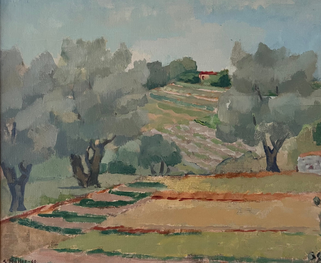 Olive Grove