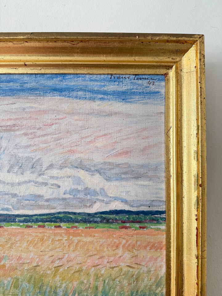 The Pink Fields