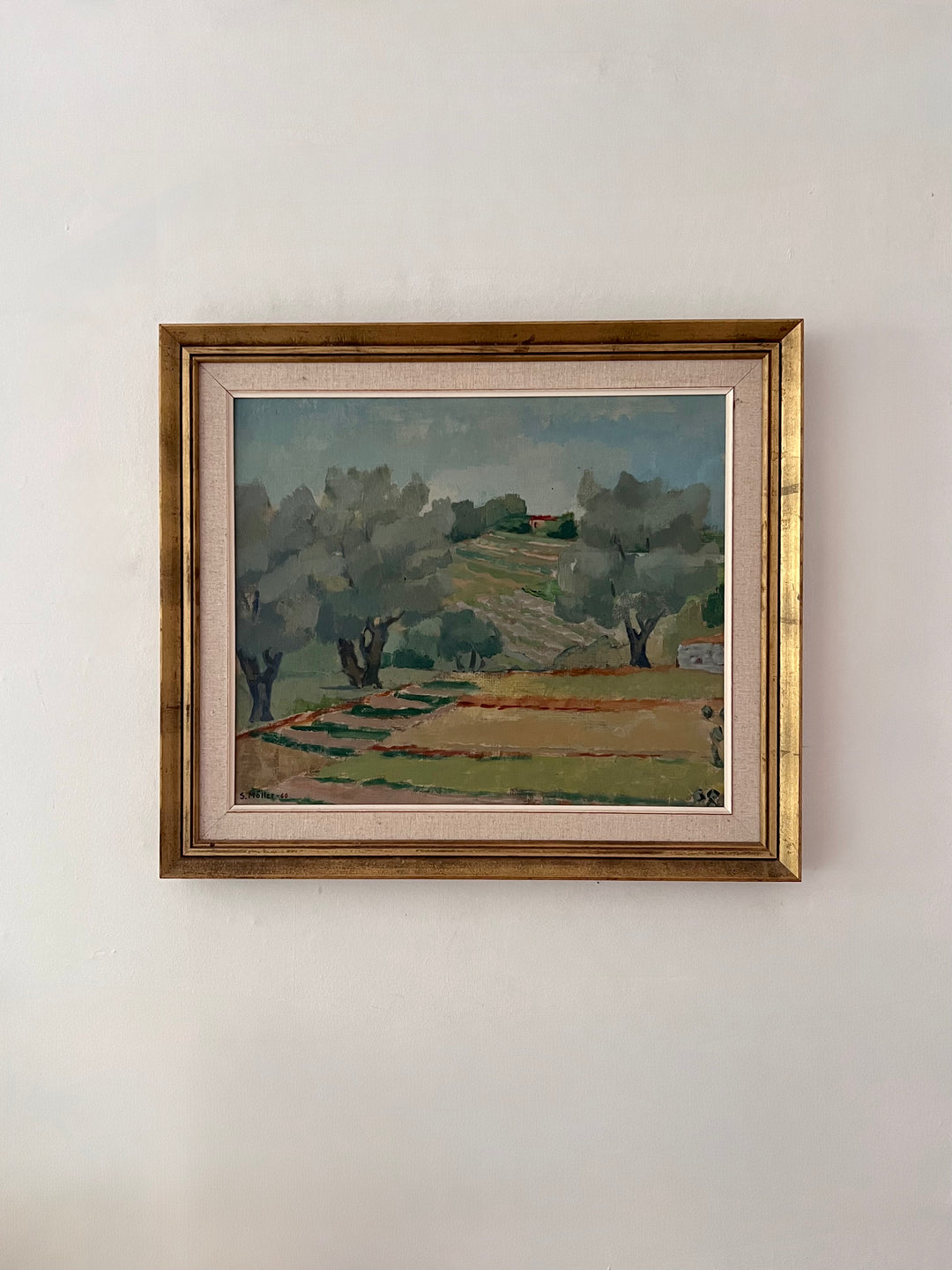 Olive Grove