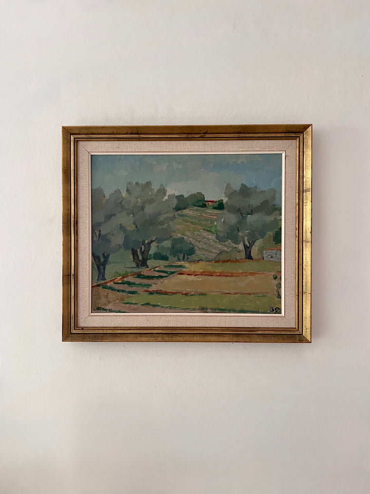 Olive Grove