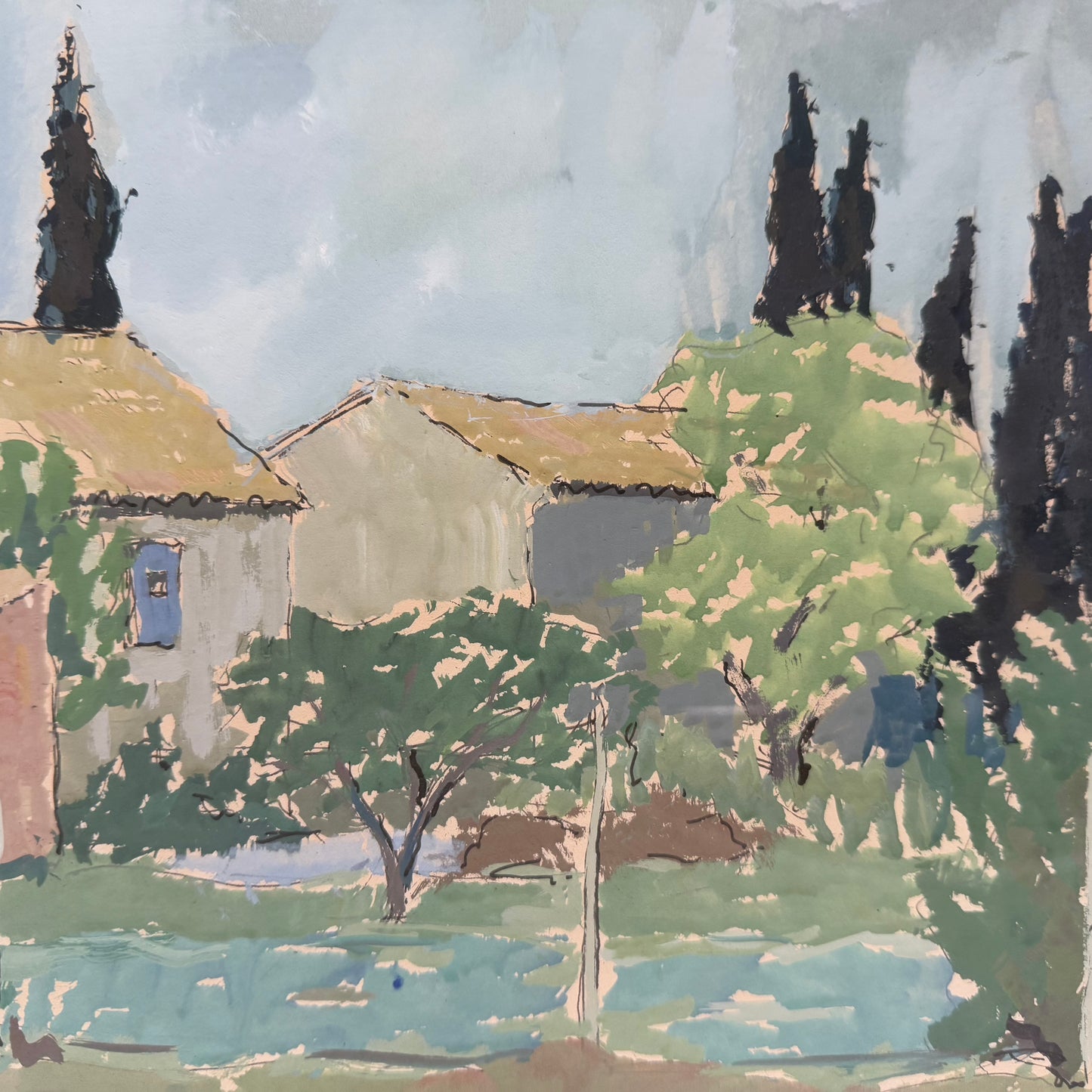 Cypresses in Provence