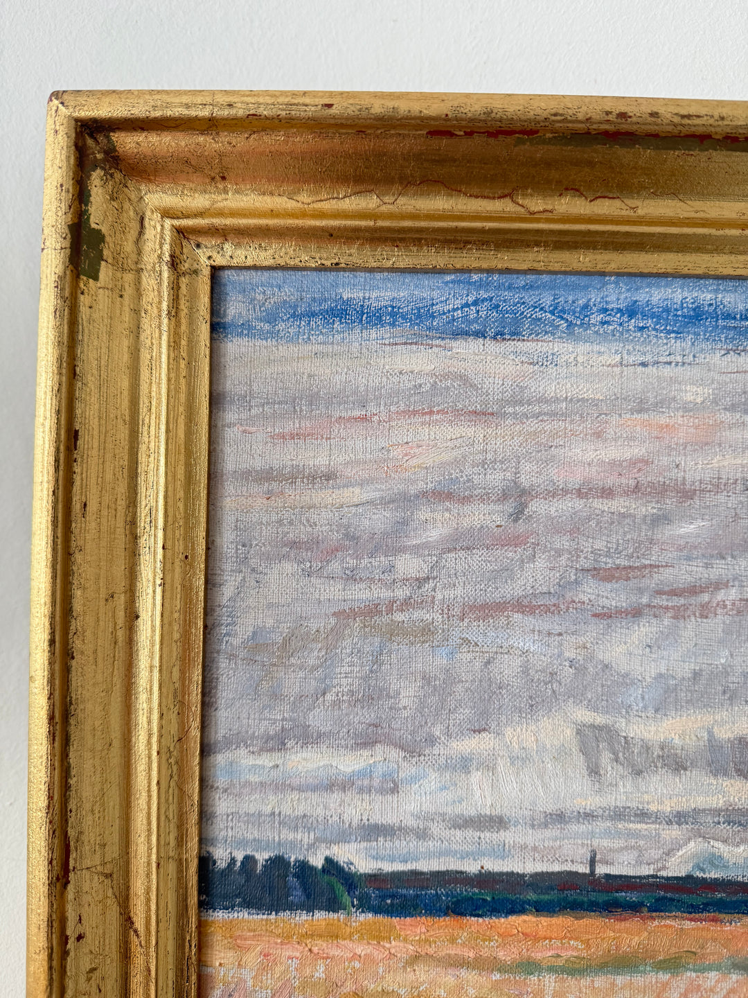 The Pink Fields