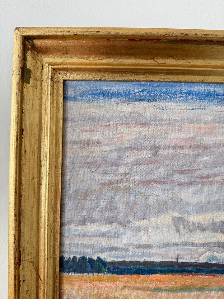 The Pink Fields