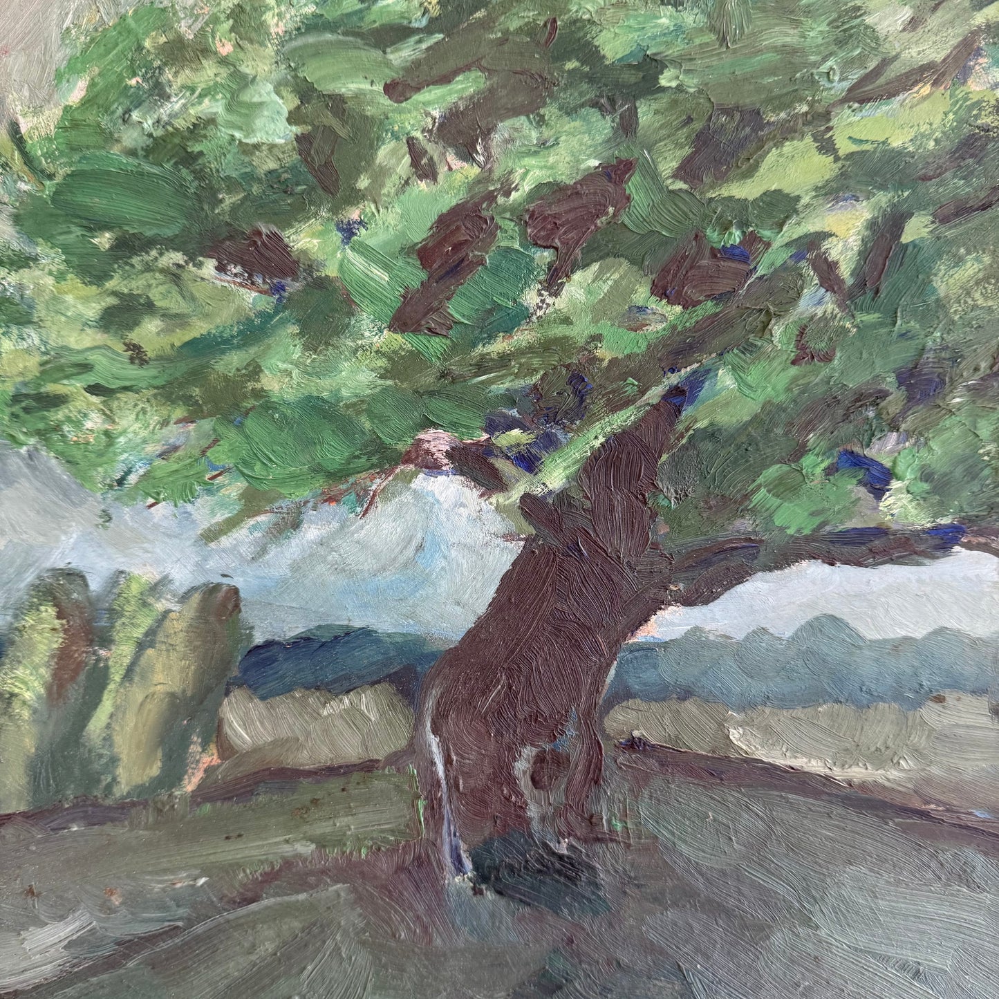 Tree on Hill