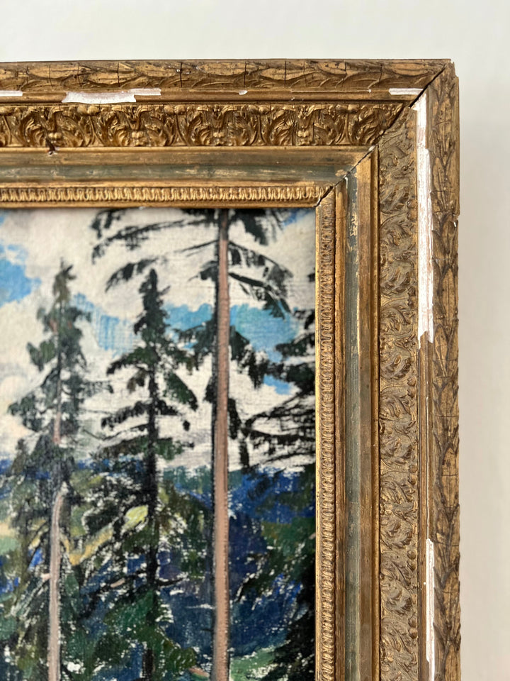 Paysage de Montagne
