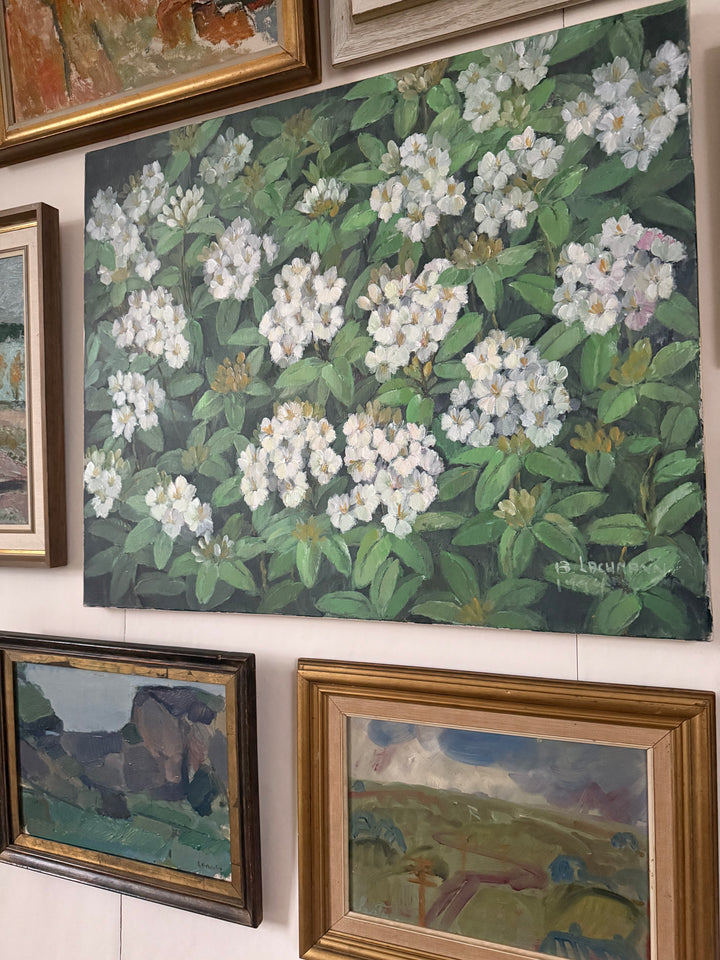 Path through the Storm