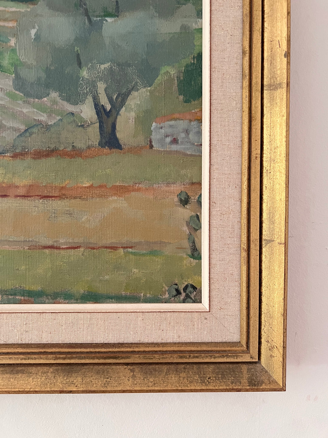 Olive Grove