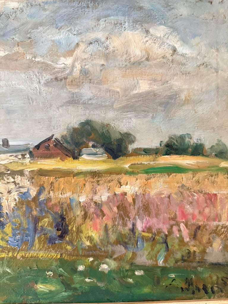 Wildflowers in the Meadow