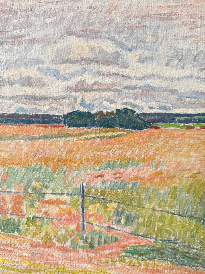 The Pink Fields