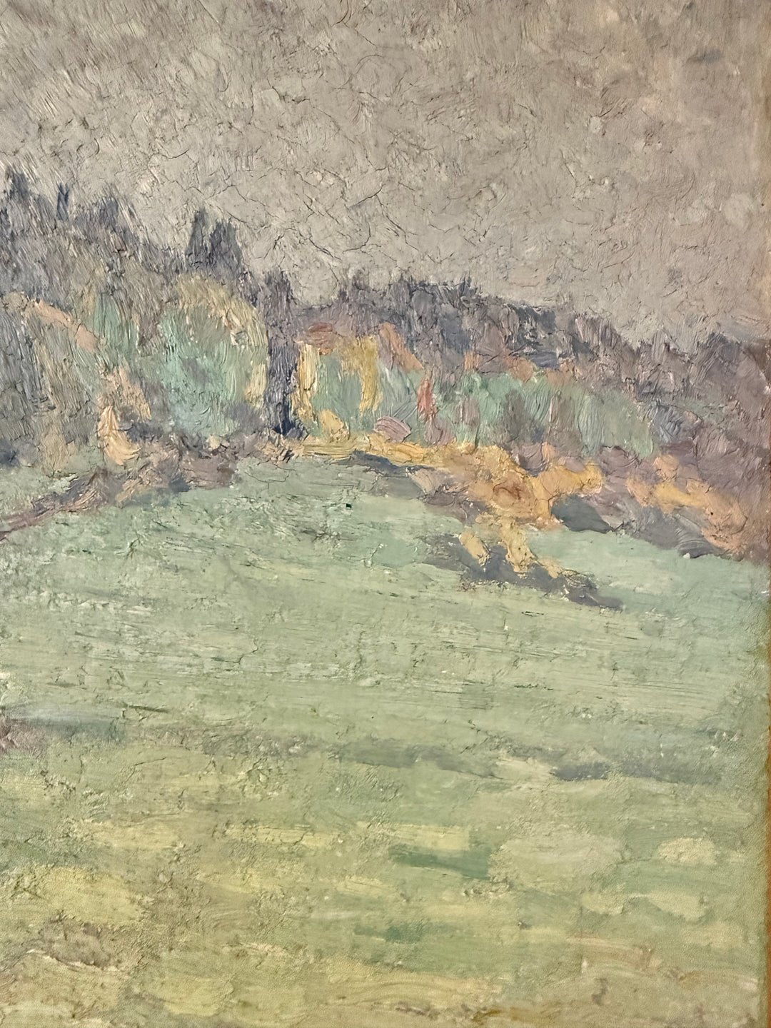 The Quiet Meadow