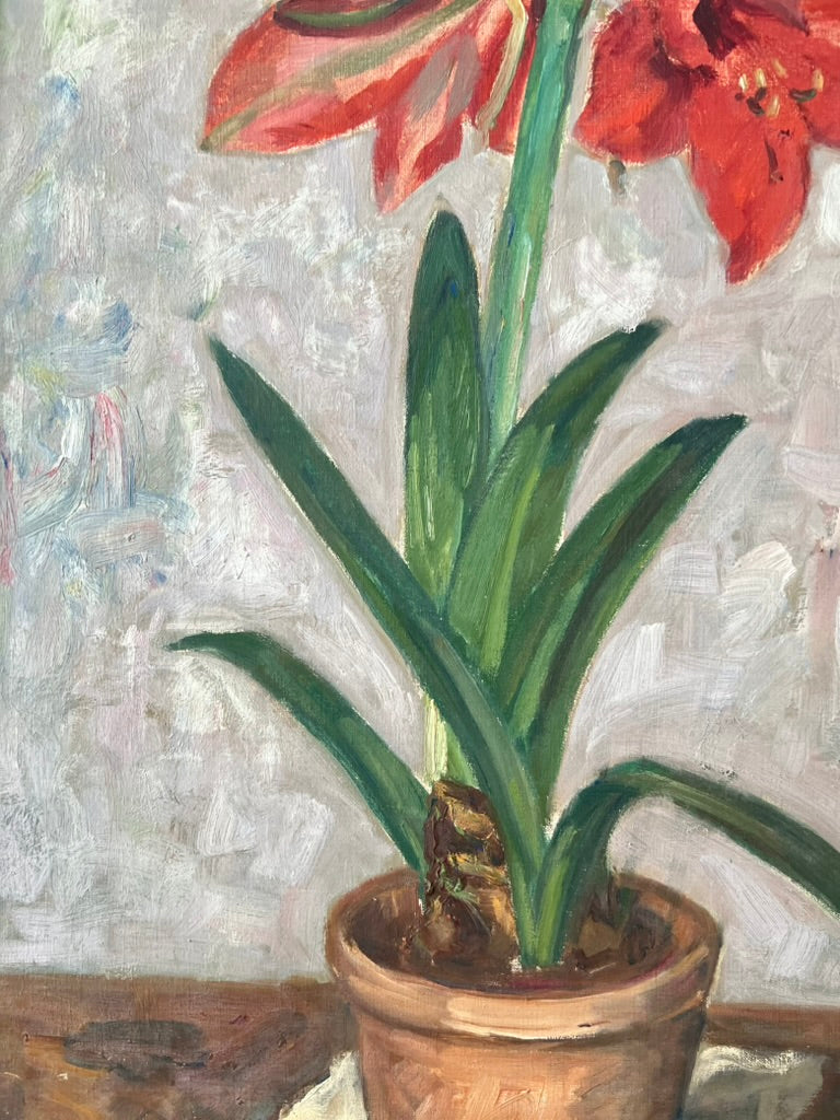 Amaryllis