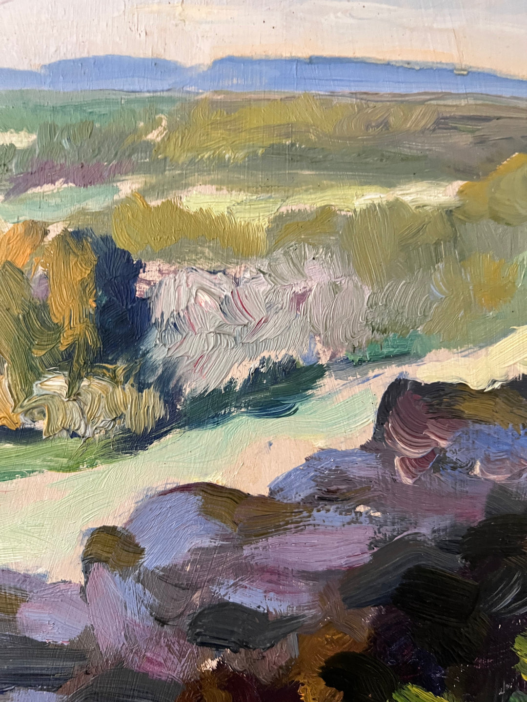 Summer Landscape