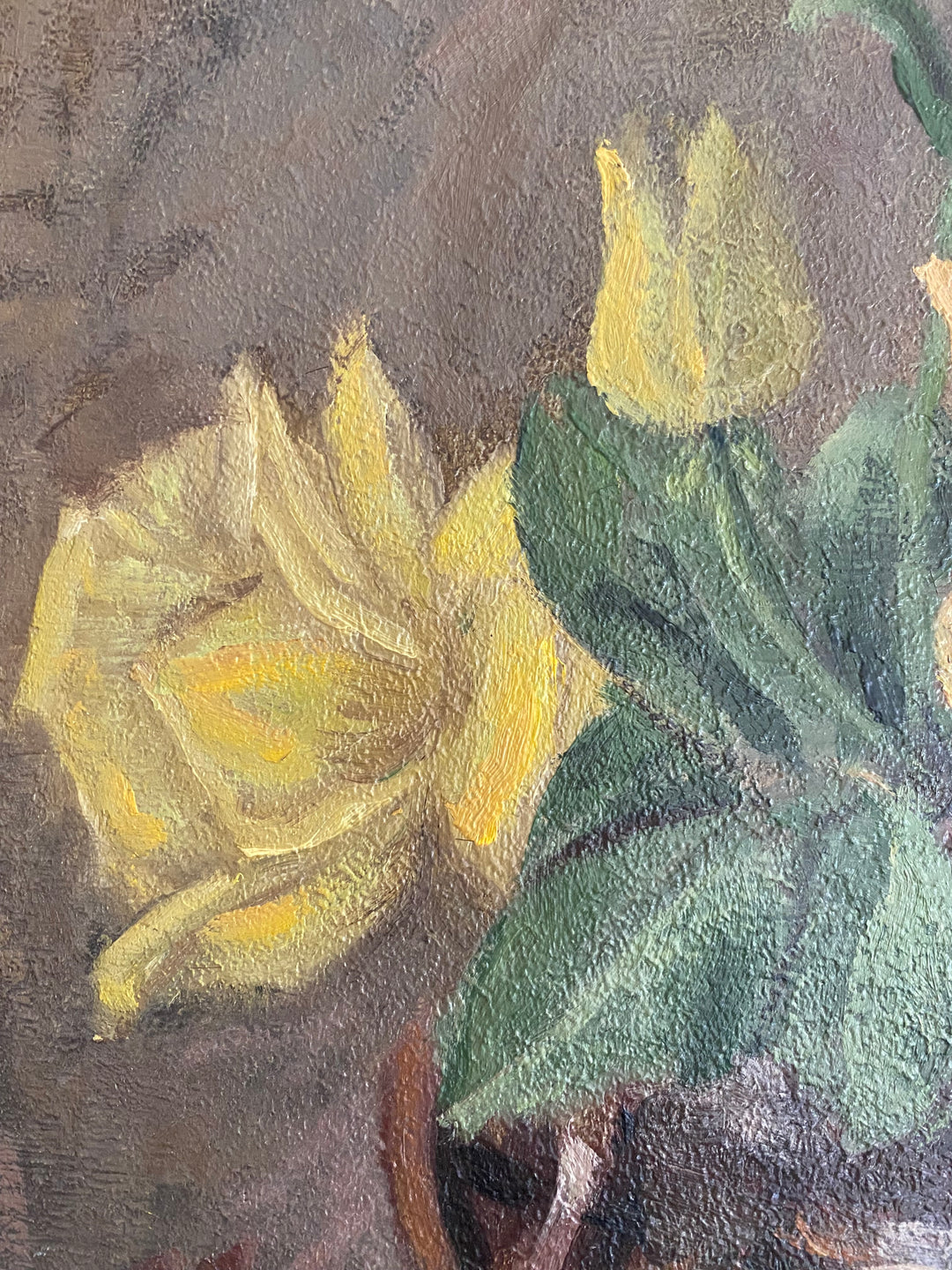Cottage Roses