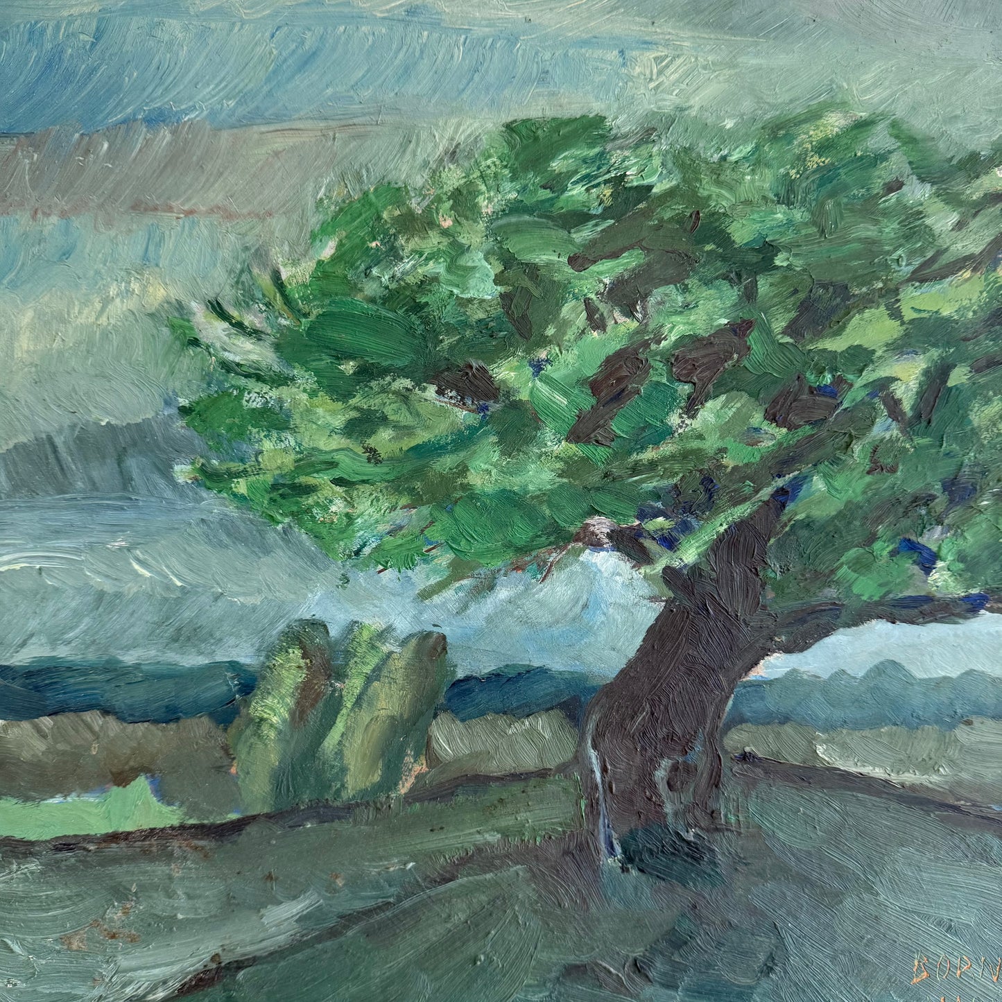 Tree on Hill