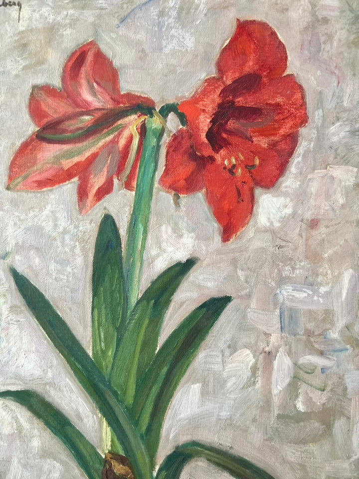 Amaryllis