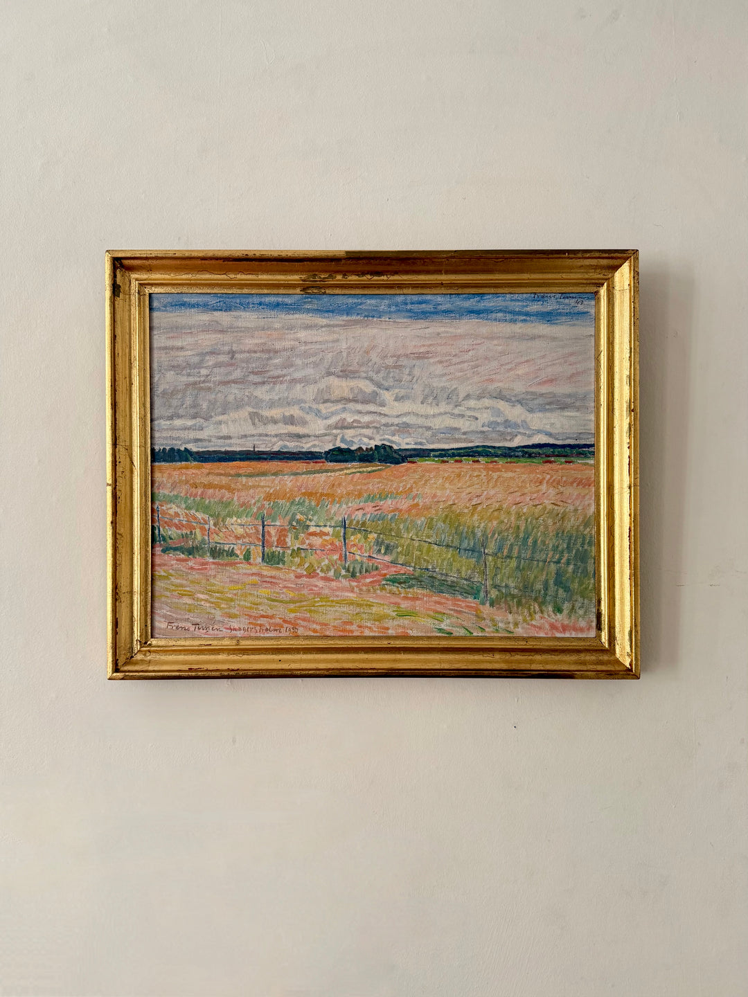 The Pink Fields