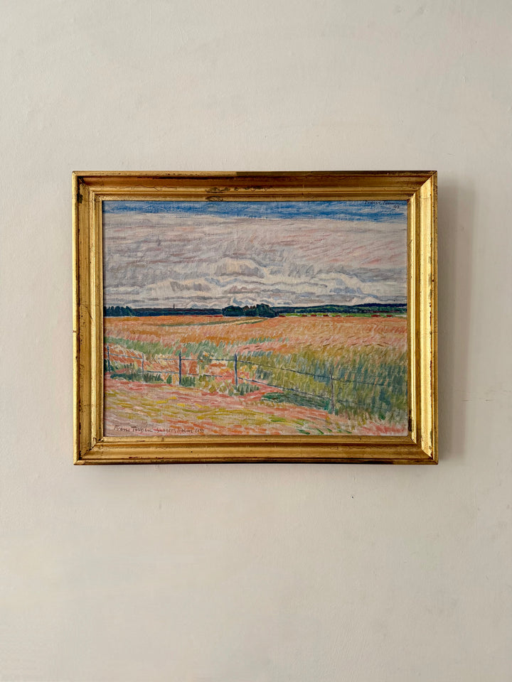 The Pink Fields