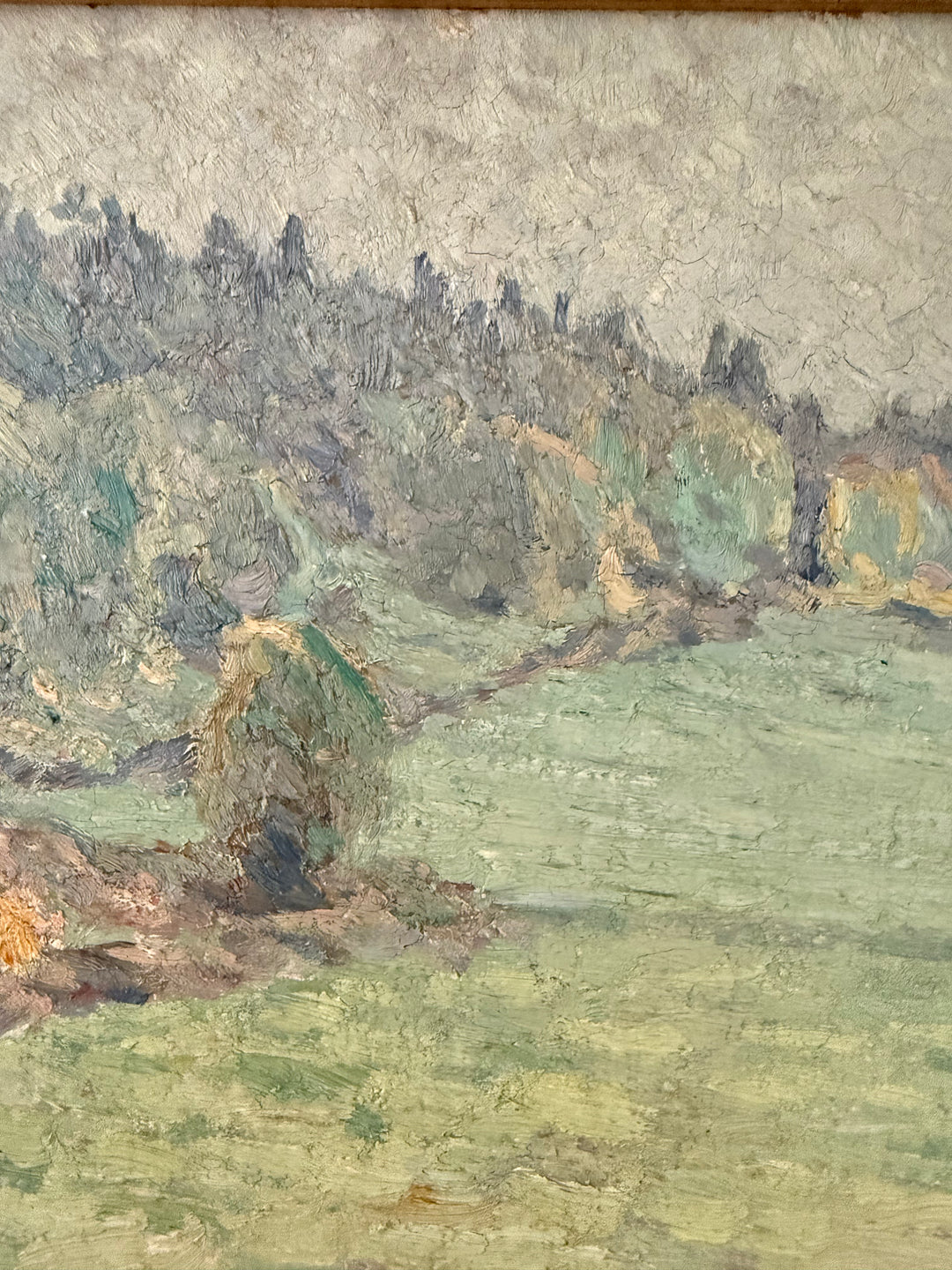 The Quiet Meadow