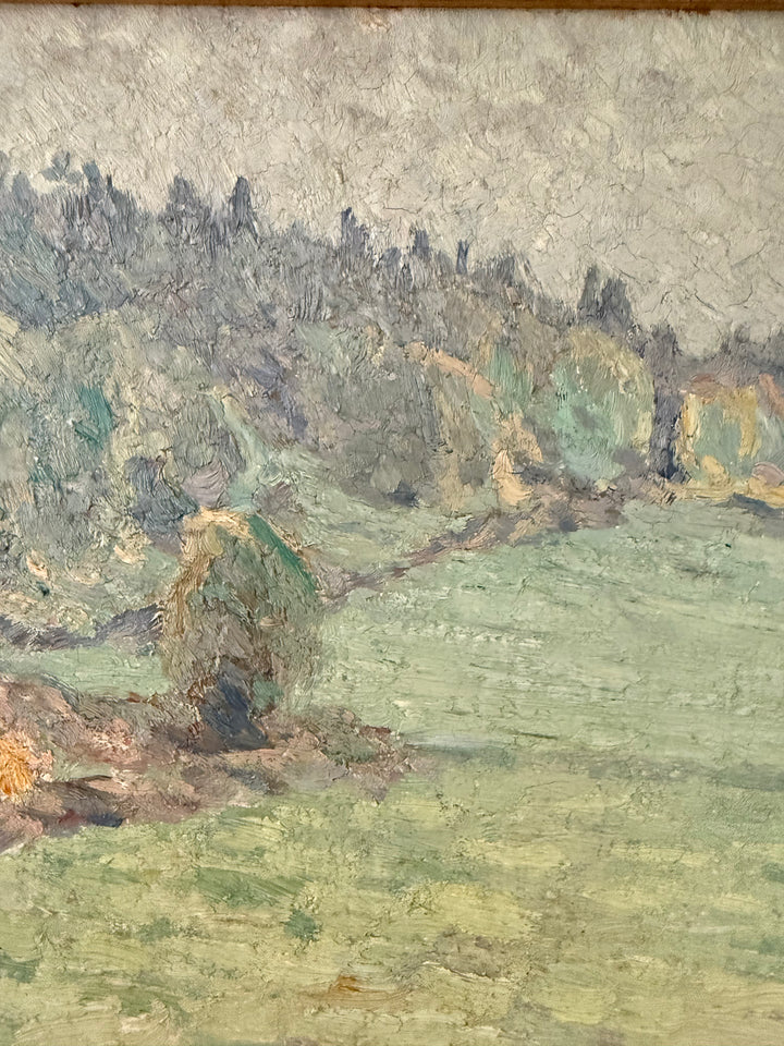 The Quiet Meadow