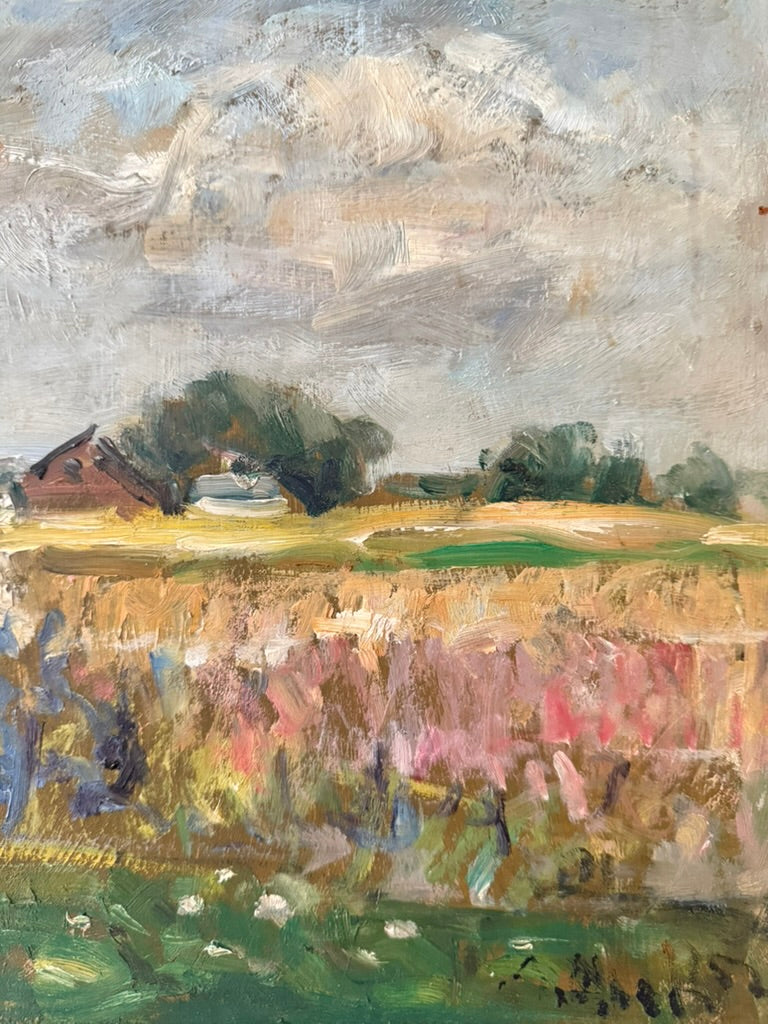 Wildflowers in the Meadow