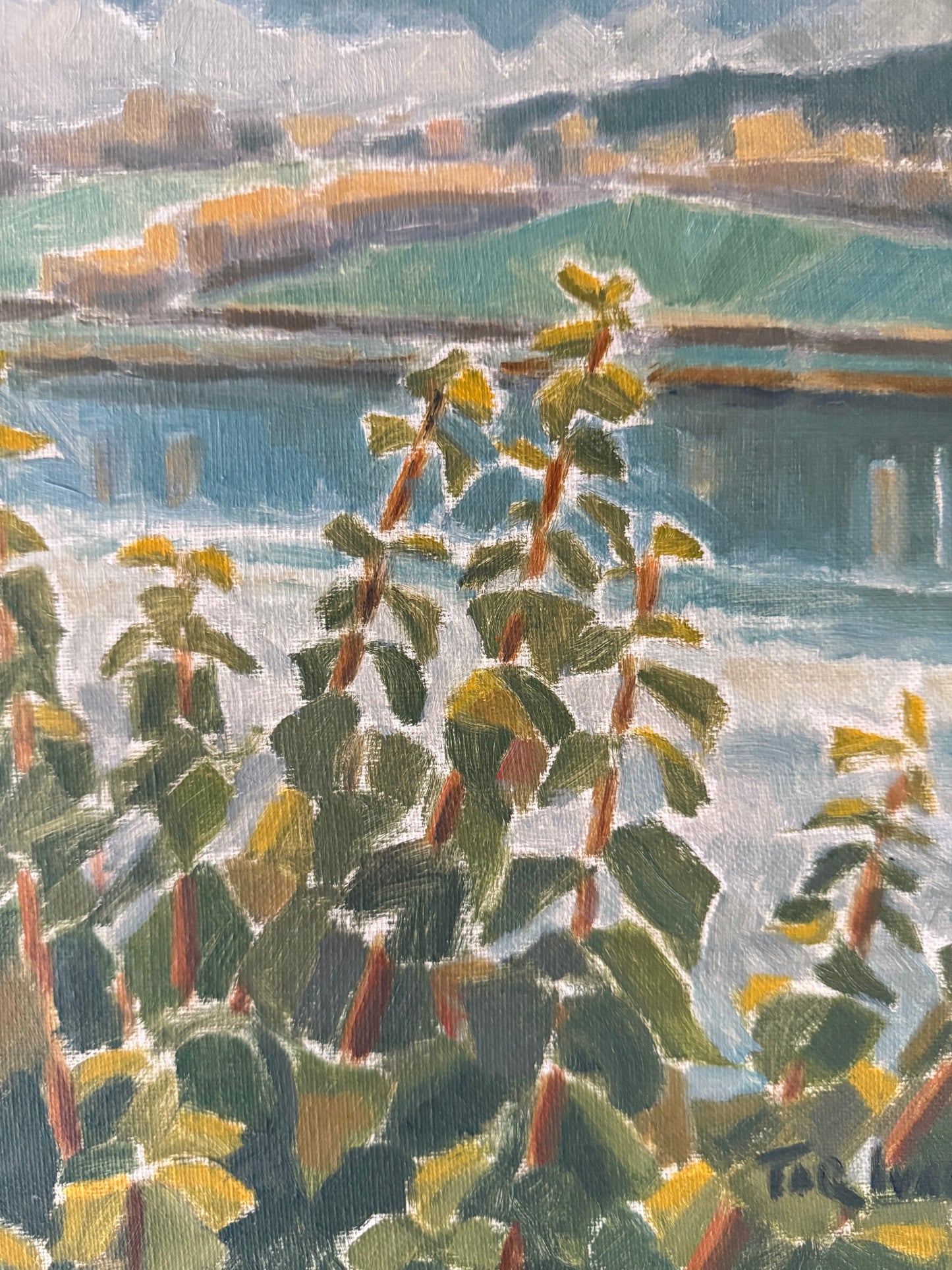 Lake View