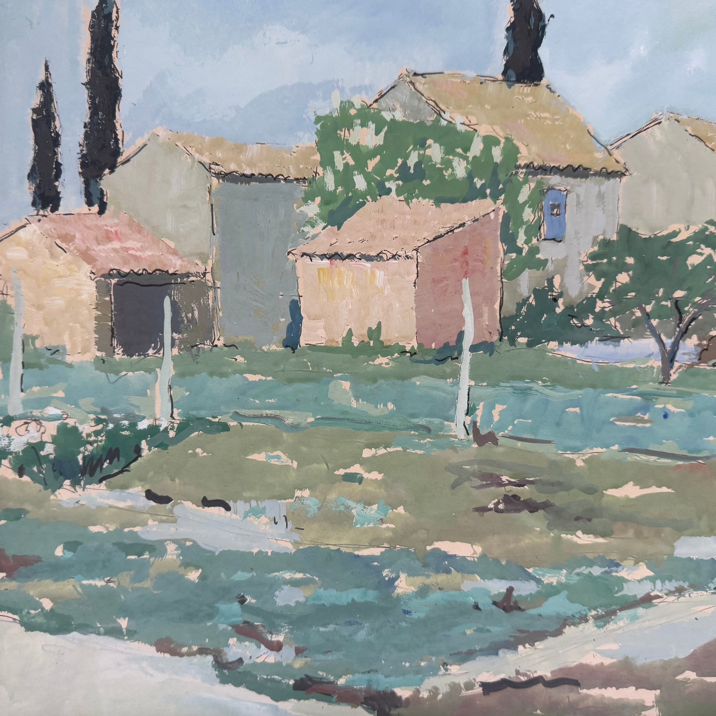 Cypresses in Provence