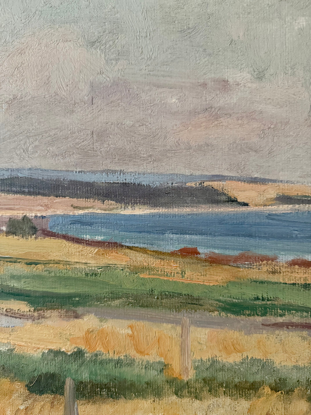 Meadows by the Sea