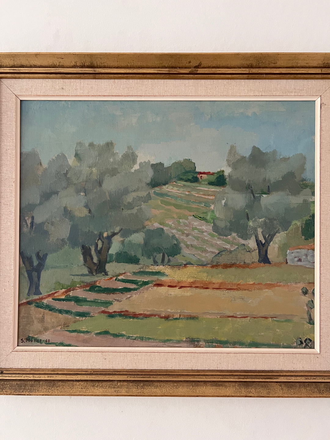 Olive Grove