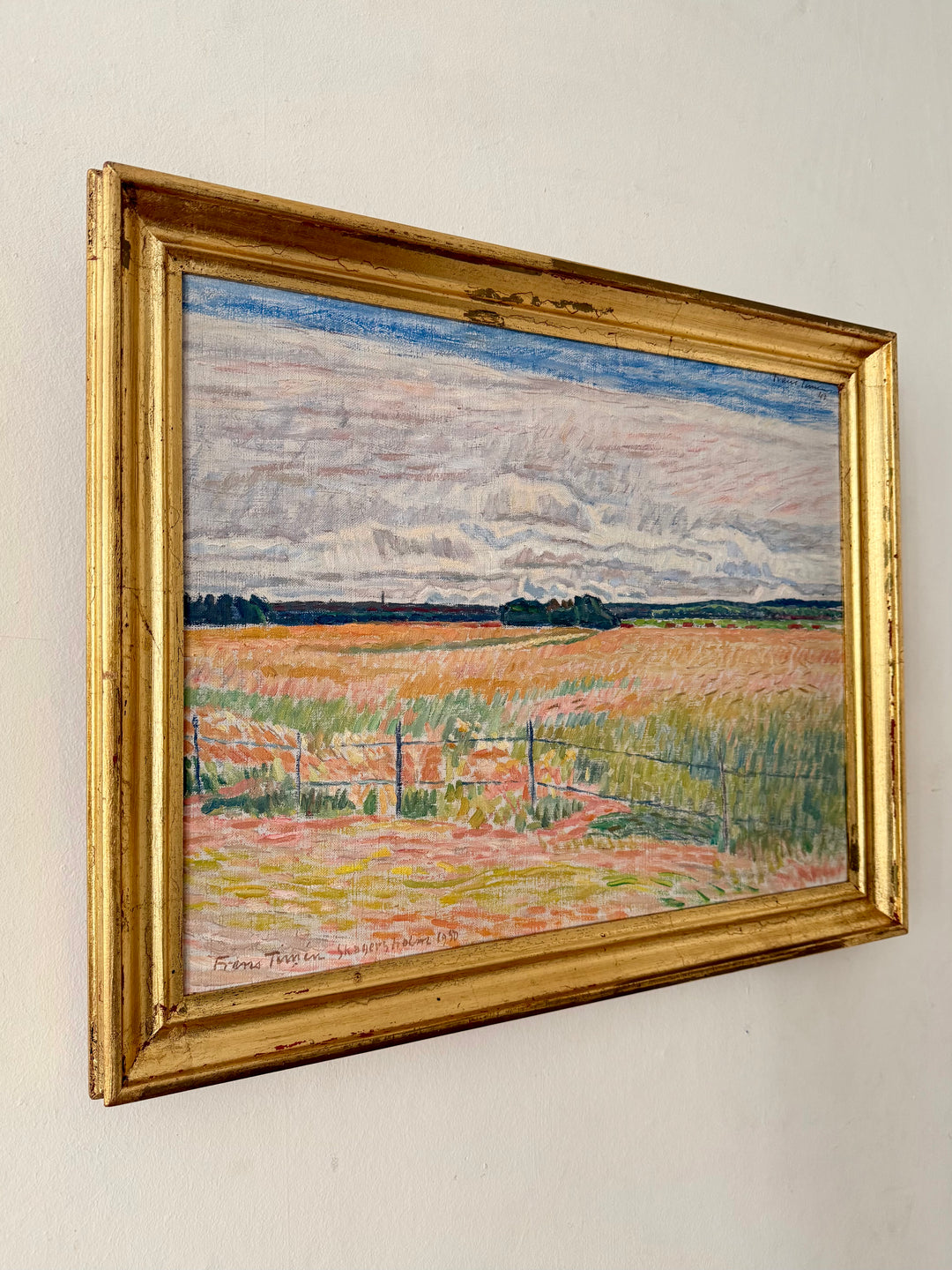 The Pink Fields
