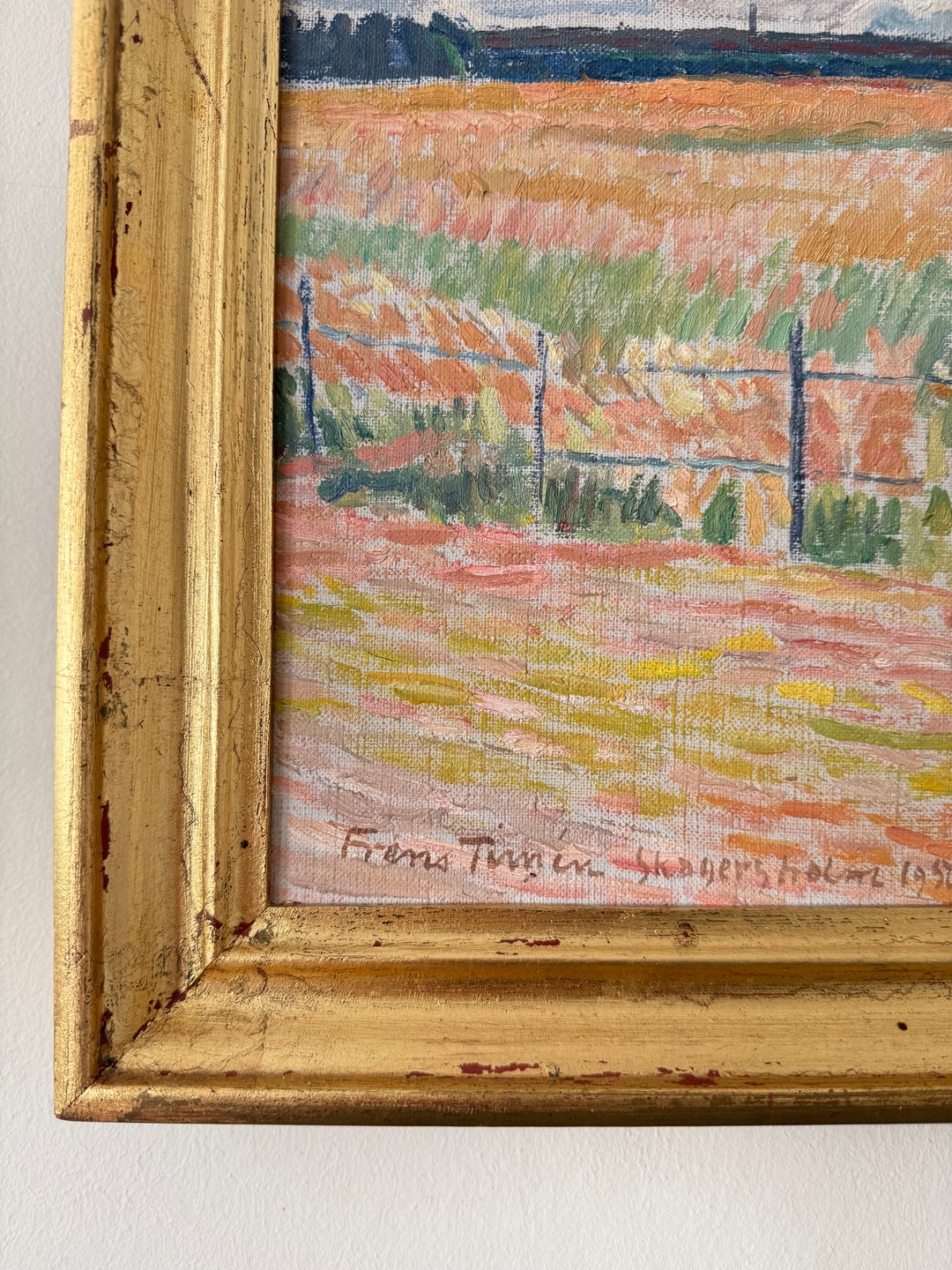The Pink Fields