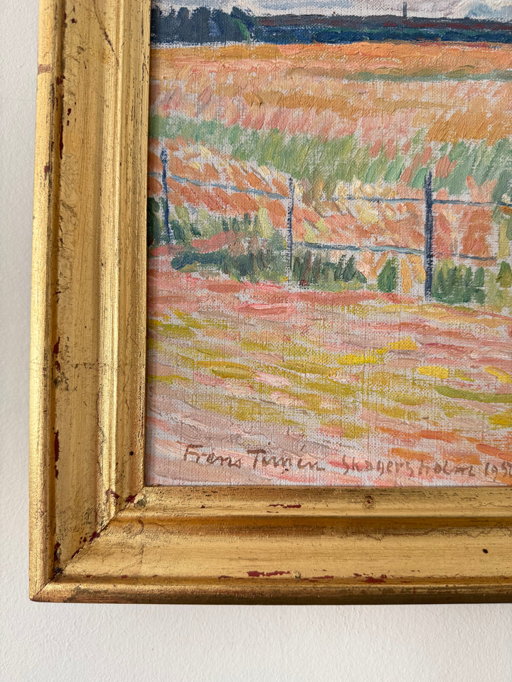 The Pink Fields