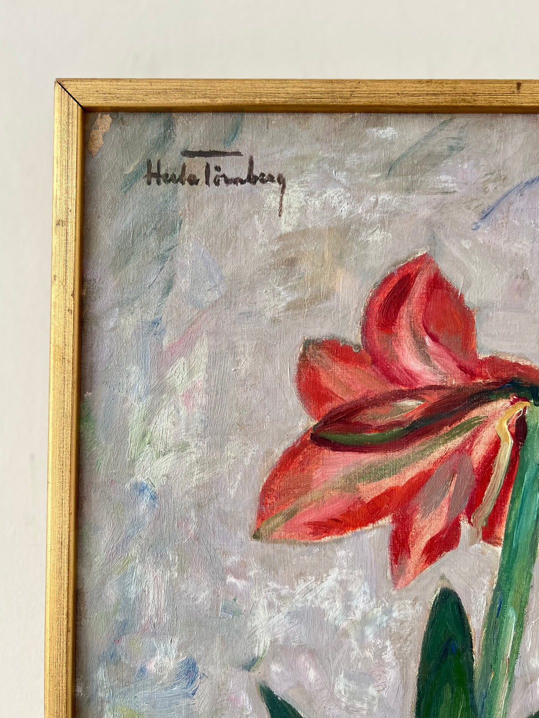 Amaryllis