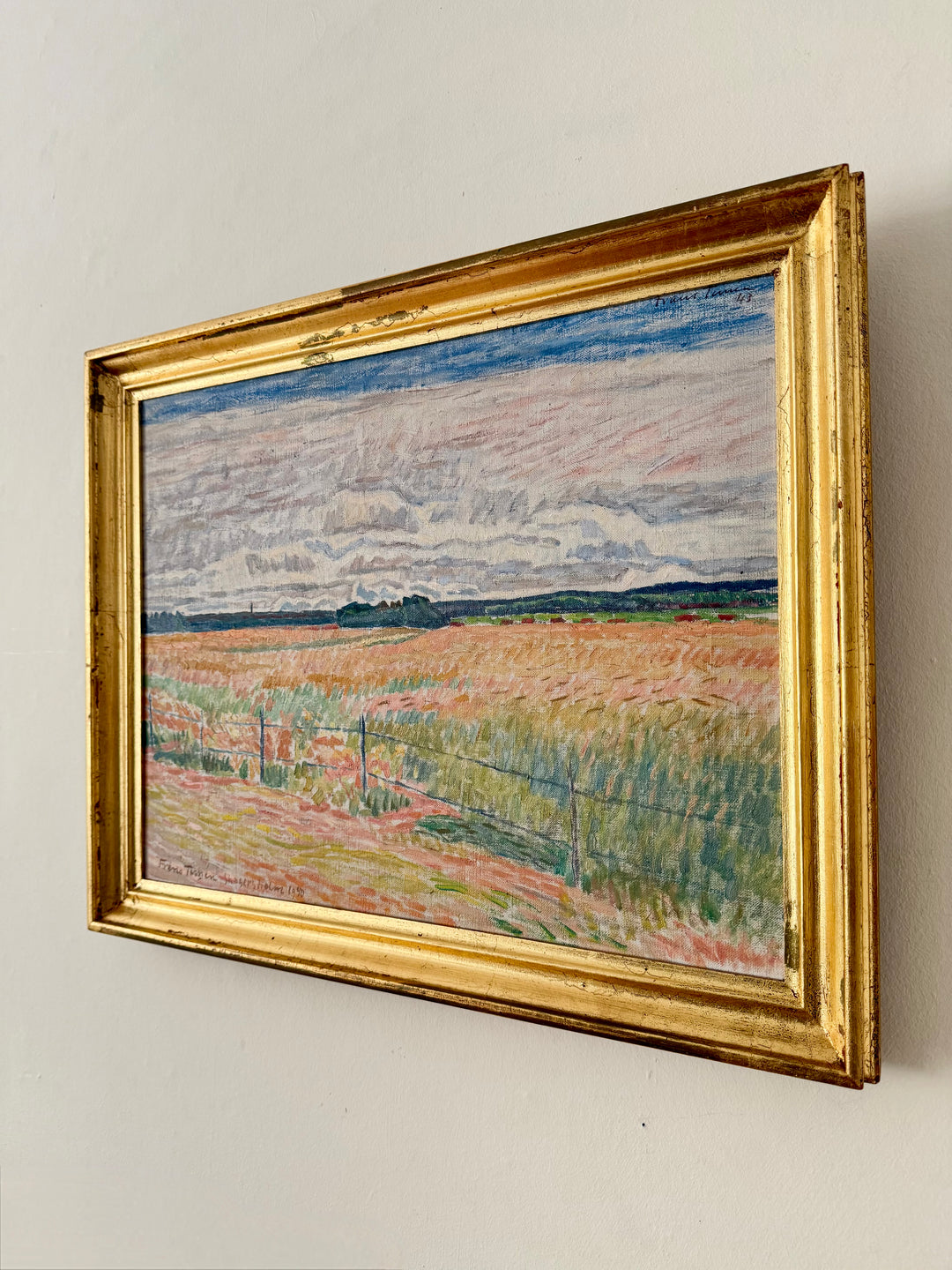 The Pink Fields