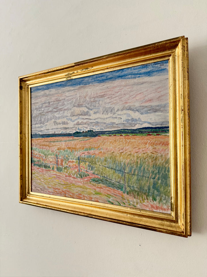 The Pink Fields