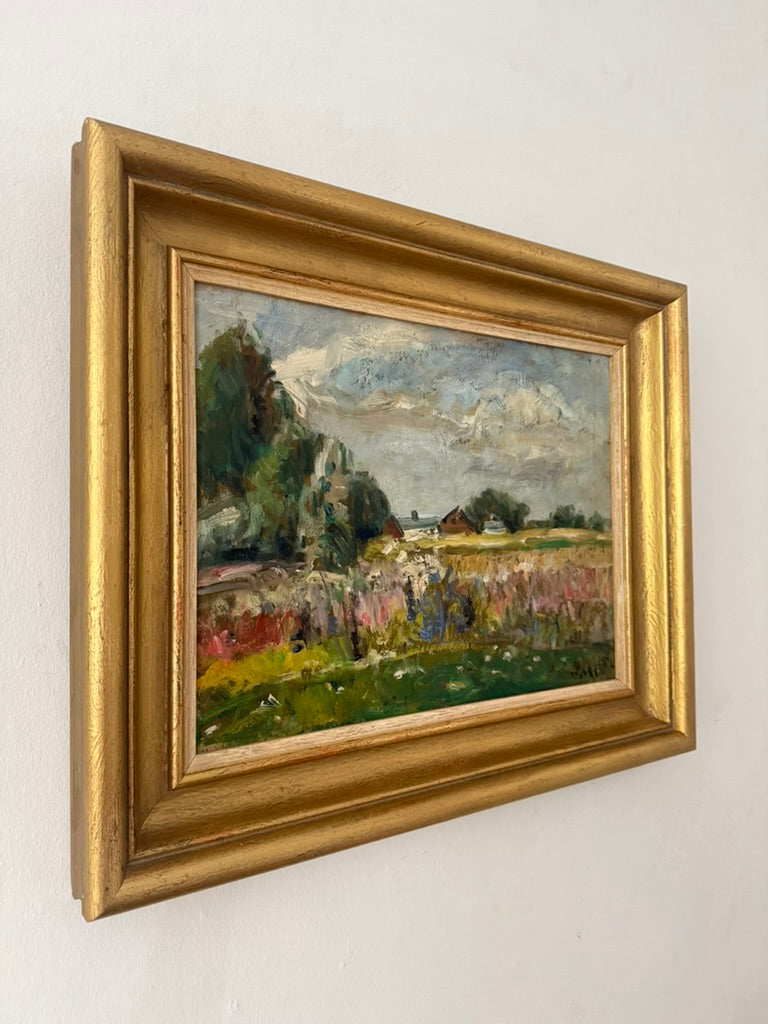 Wildflowers in the Meadow