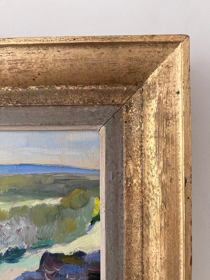 Summer Landscape