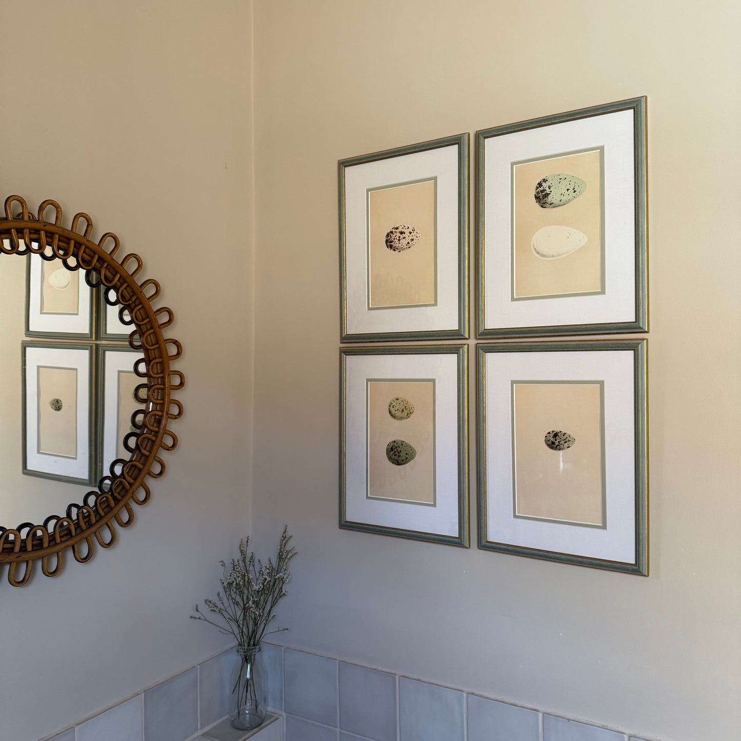 Bird Egg Engravings (set of four)