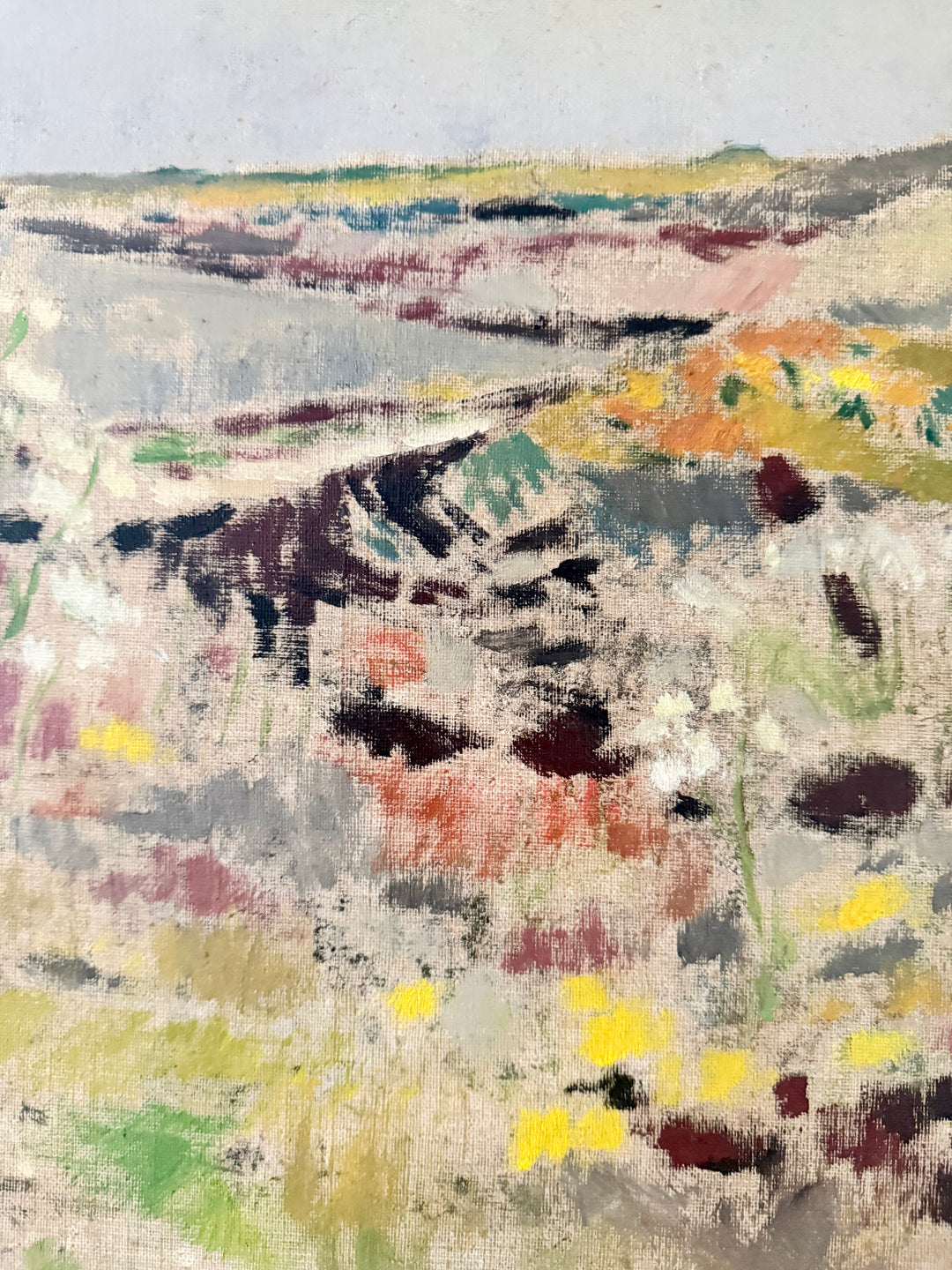 Wildflowers by the Coast