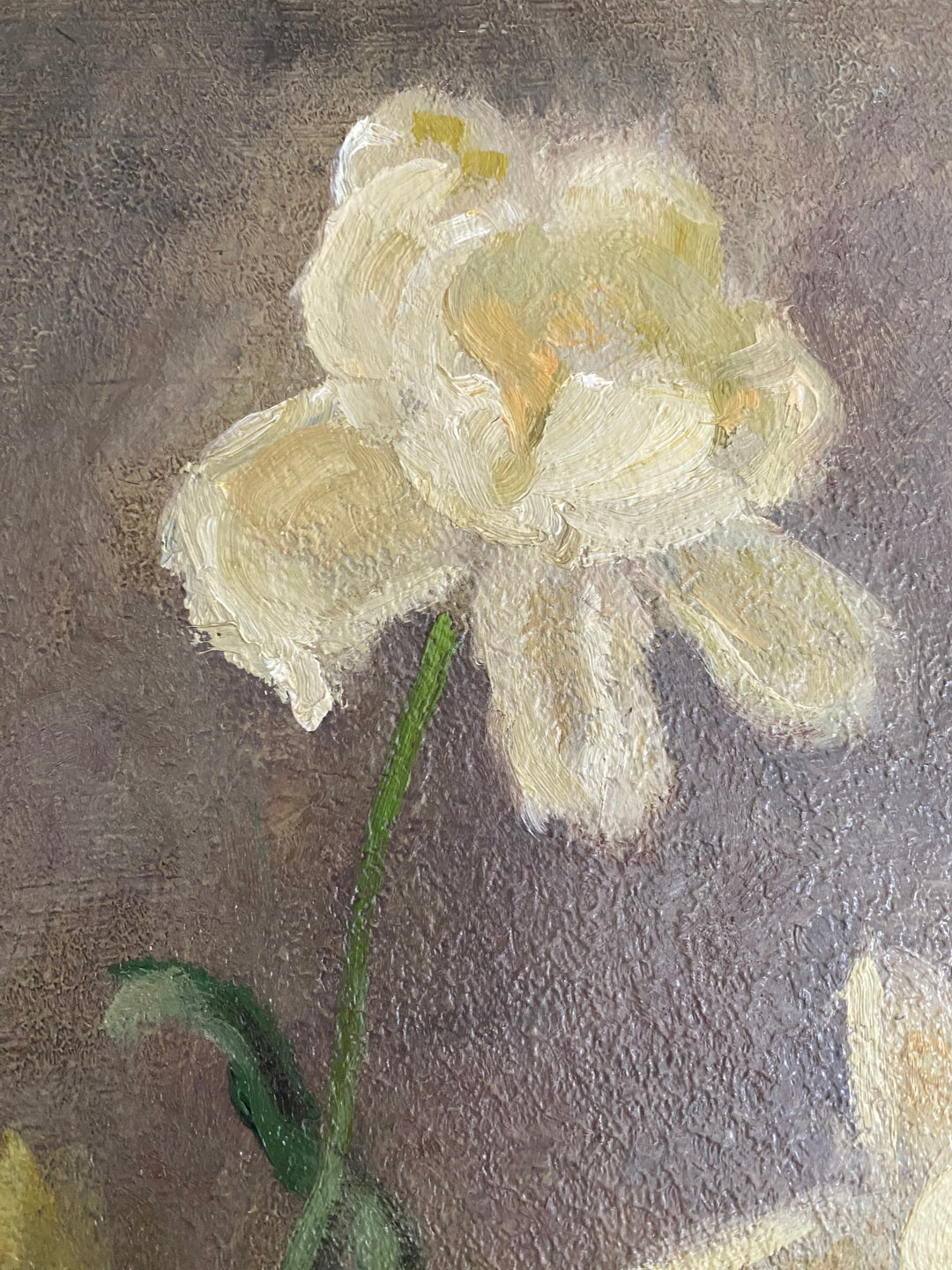 Cottage Roses
