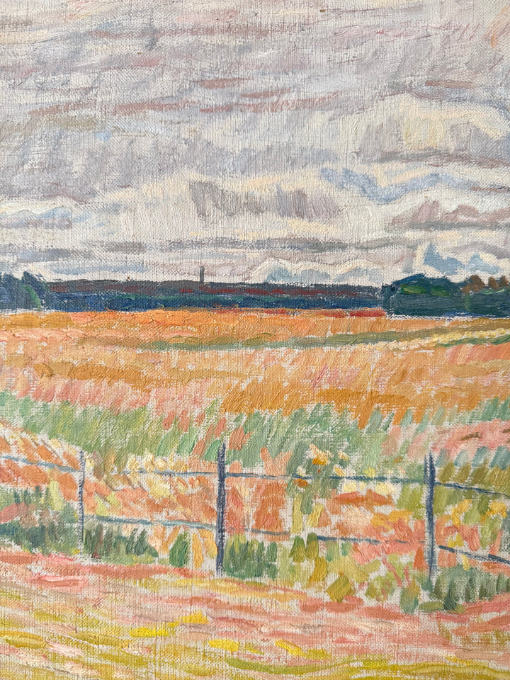 The Pink Fields