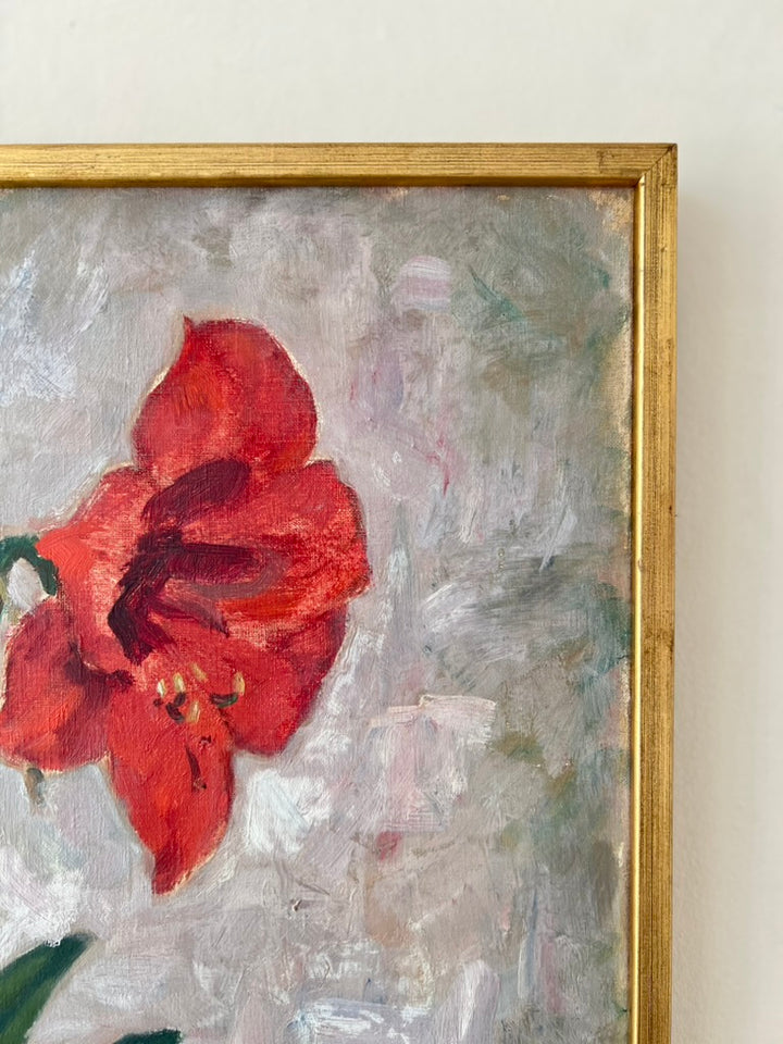 Amaryllis