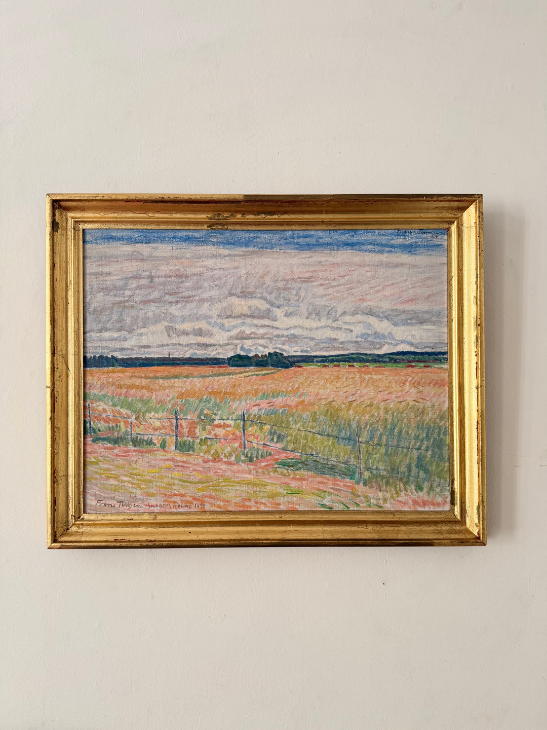 The Pink Fields