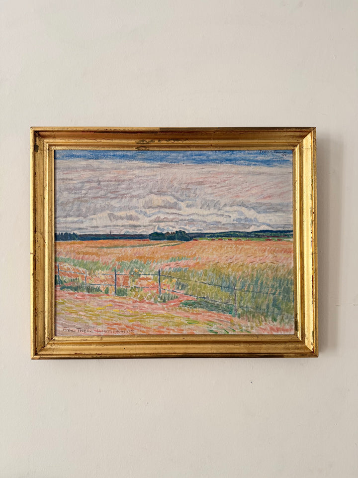 The Pink Fields