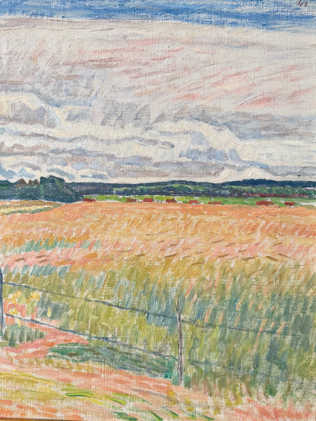 The Pink Fields