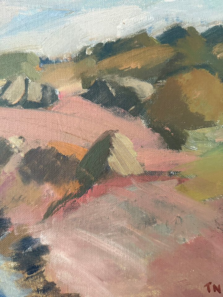 Pink Cliffs