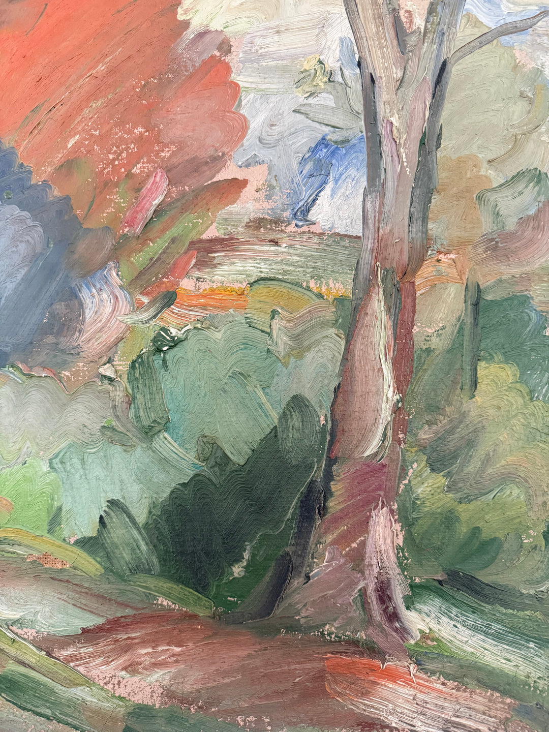 Forest Walk